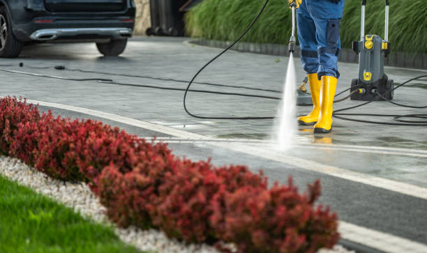 Best Driveway Pressure Washing  in Zephyrhills North, FL